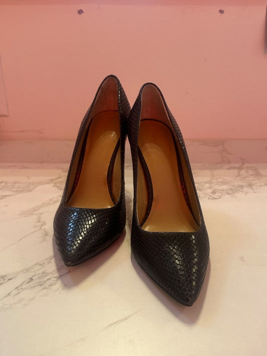 *Ann Taylor | Blue Snakescale Heels (10M)