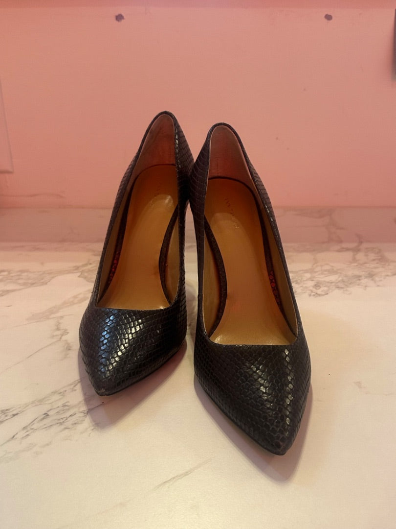 *Ann Taylor | Blue Snakescale Heels (10M)