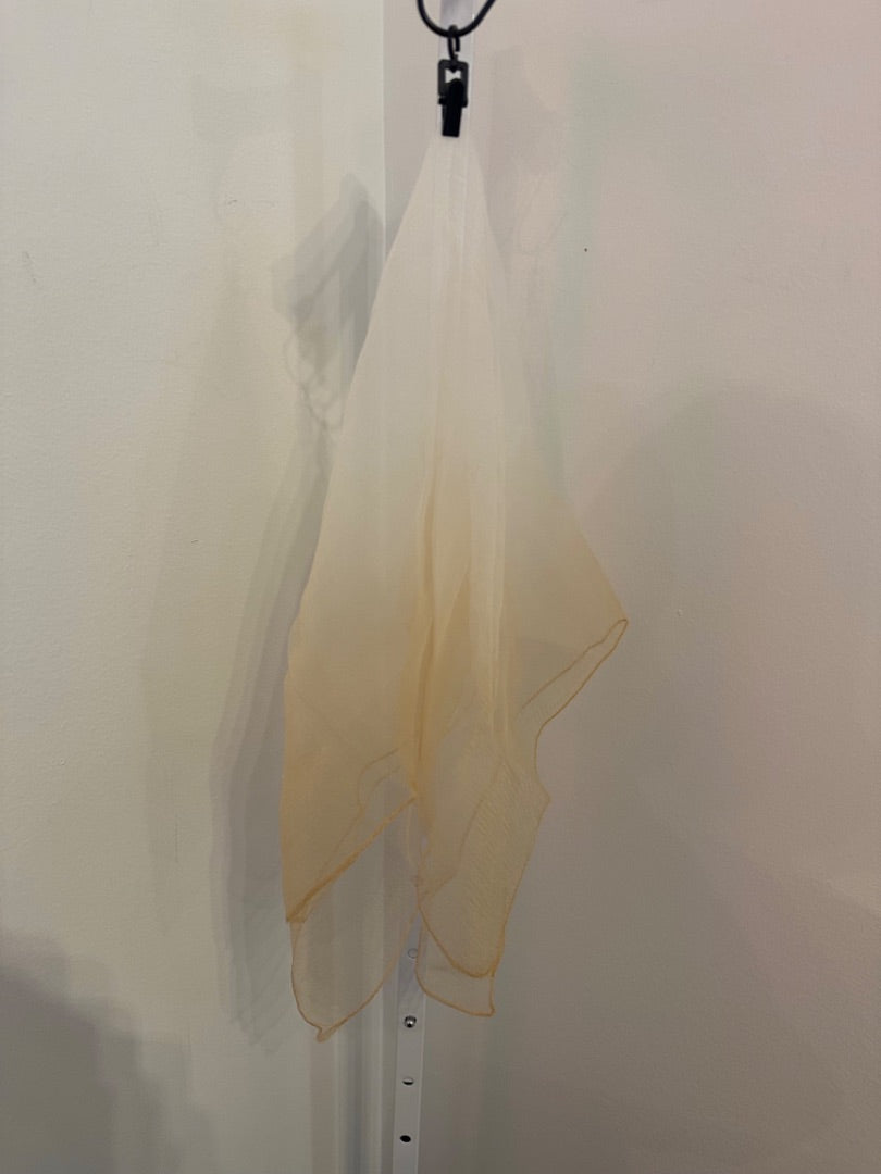 *No Label | Silky Scarf (OSFM)