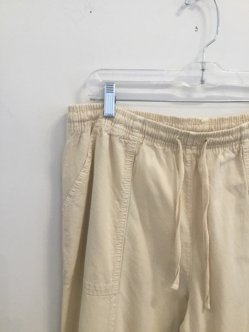*Dress Barn |  (L)