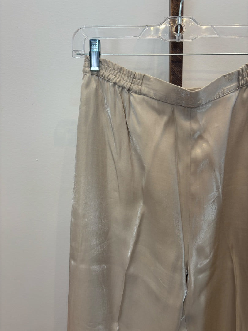 *Talbots | Shimmer Pants (4)