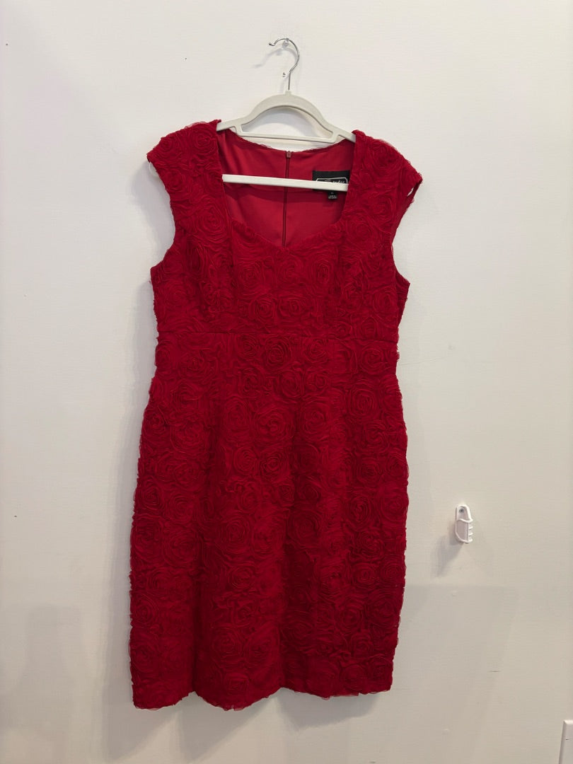 *Studio Connections | Rose Texture Dress (14)